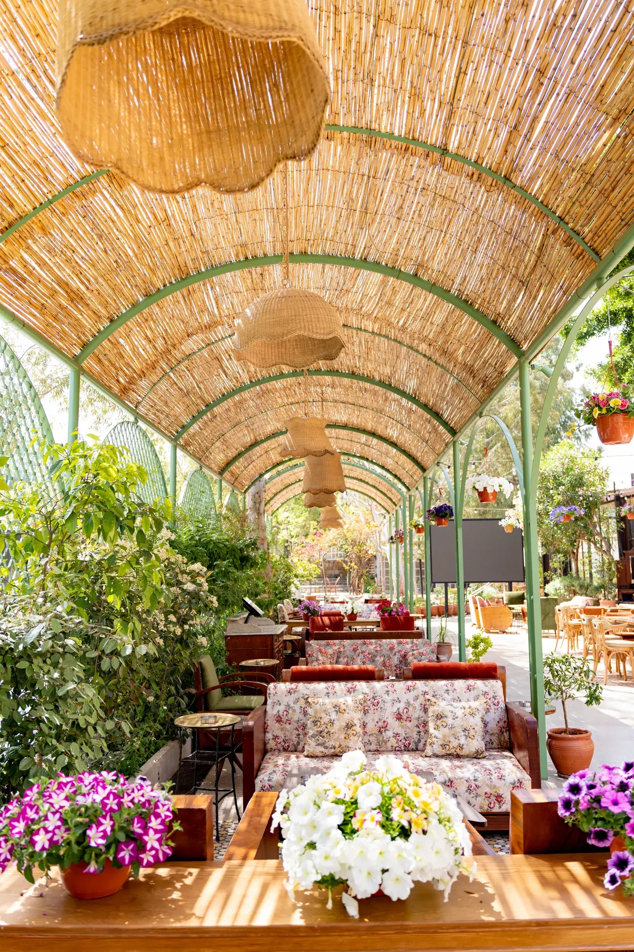 Al Falamanki Antelias